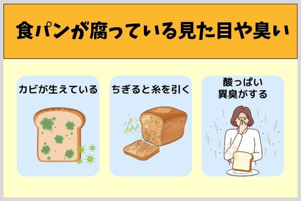 食パンが腐っている見た目や臭い