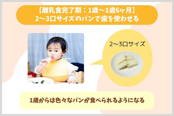 【離乳食完了期：1歳〜1歳6ヶ月】2〜3口サイズのパンで歯を使わせる