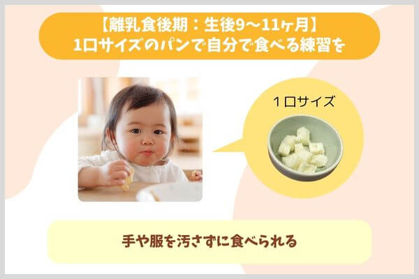 【離乳食後期：生後9〜11ヶ月】1口サイズのパンで自分で食べる練習を